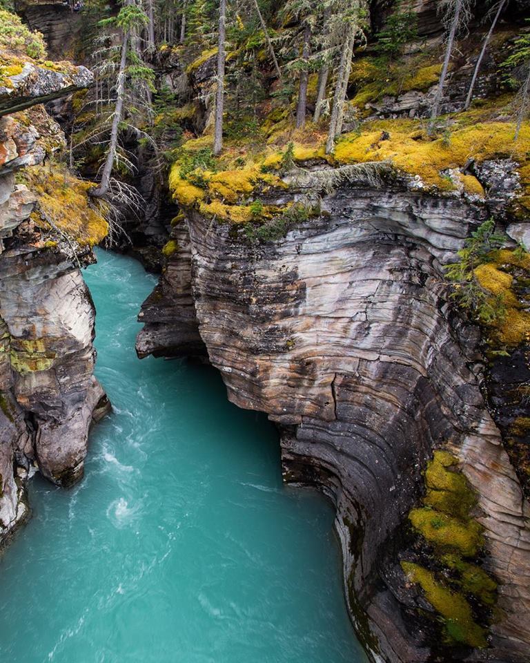 theadventurouslife4us:  #adventure , Water cutting through rock  Keep reading