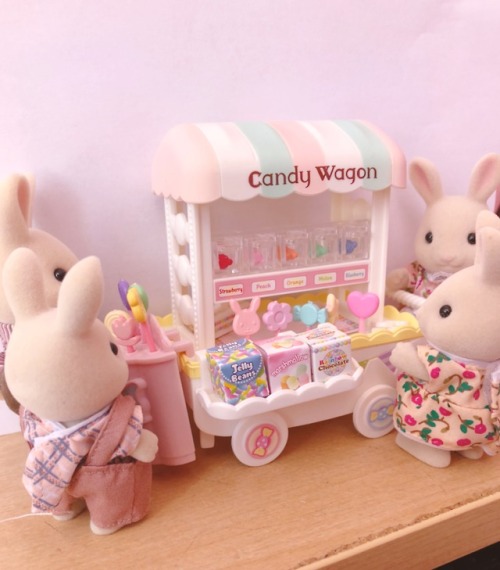 00-px: Calico Critters my friend @curiousnesska got as a gift for me!