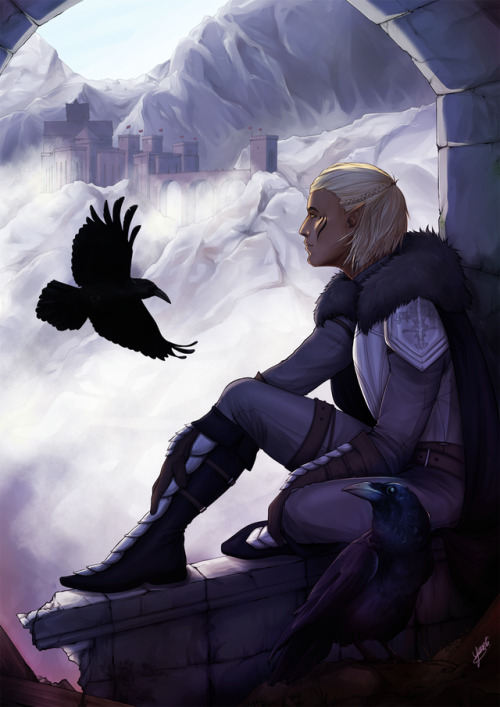 zevran and crows © junie-junette