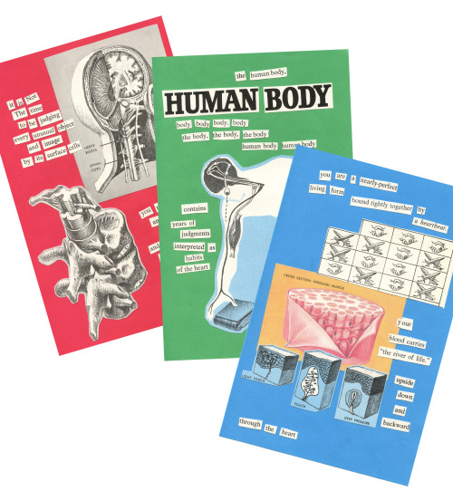 a pdf copy of “the tender human body zine” is now available on my etsy (and it comes with a bonus fo