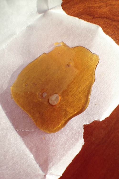 veeveeganja:  Gecko Extracts