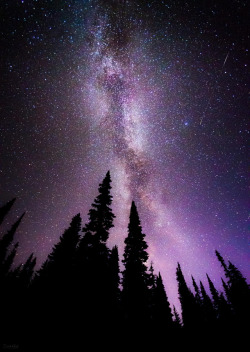 drxgonfly:  Reaching Up to Touch the Stars (by Derek Kind) 