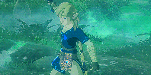 Link... You are the light