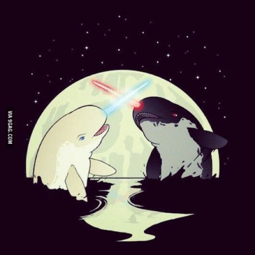 9gag:  Nar Wars. #9gag