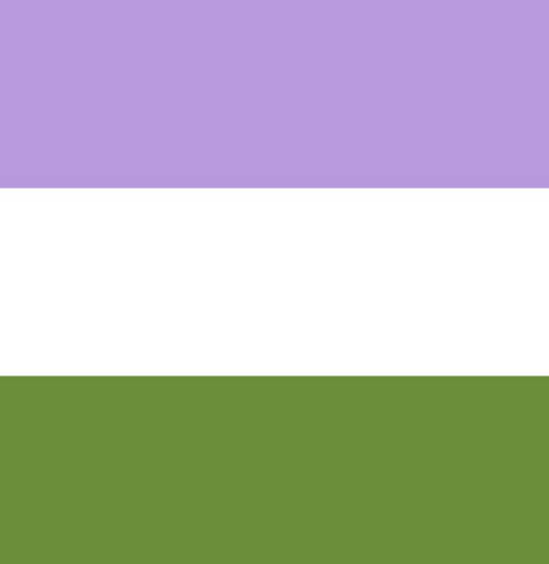 Genderqueer Pride Stimboardx x x / x x / x x x