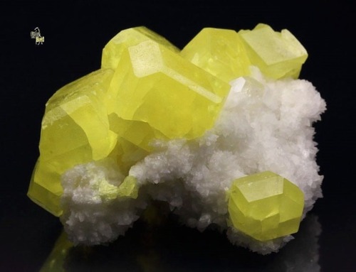 geologypage:  Sulfur, Aragonite | #Geology #GeologyPage #Mineral  Locality: Cozzo Disi Mine, Casteltermini, Agrigento Province, Sicily, Italy Size: 46mm x 32mm x 38mm   Photo Copyright © Quebul Fine Minerals  Geology Pagewww.geologypage.com