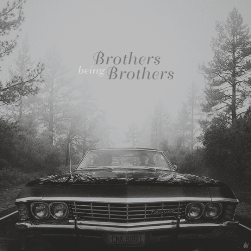 lemondropsonice: “Brothers being Brother” - SN: 13x05 {x}{x}