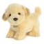 internet-pup
