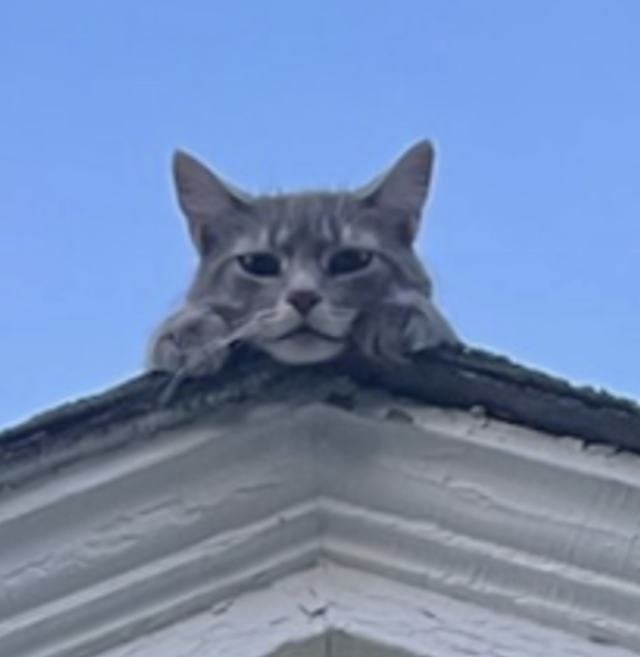 burimyuu:burimyuu:soul-of-spoopy:burimyuu:burimyuu:WHAT IS SHE DOINGeverybody must