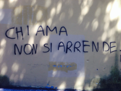 suminsanuseius:  “Chi ama non si arrende.” 