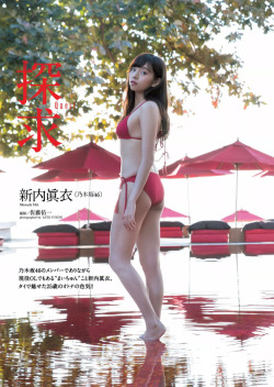 voz46:  「Weekly Playboy」No.48 2017