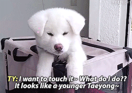 #HappyTaeyongDay ♡ 01.07.1995 