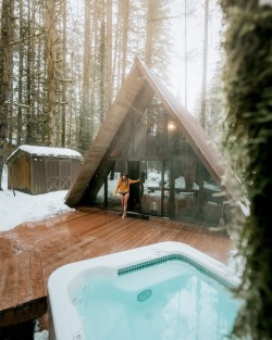 wild-cabins:R e n e e H a h n e l