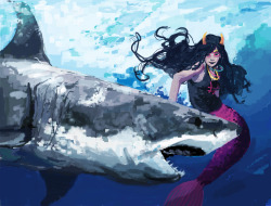 definethesky:  fef is good buddies with the sharks 