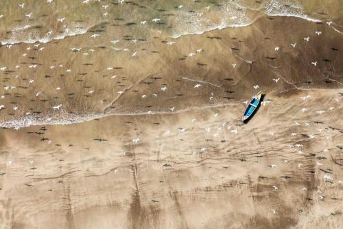 .National Geographic