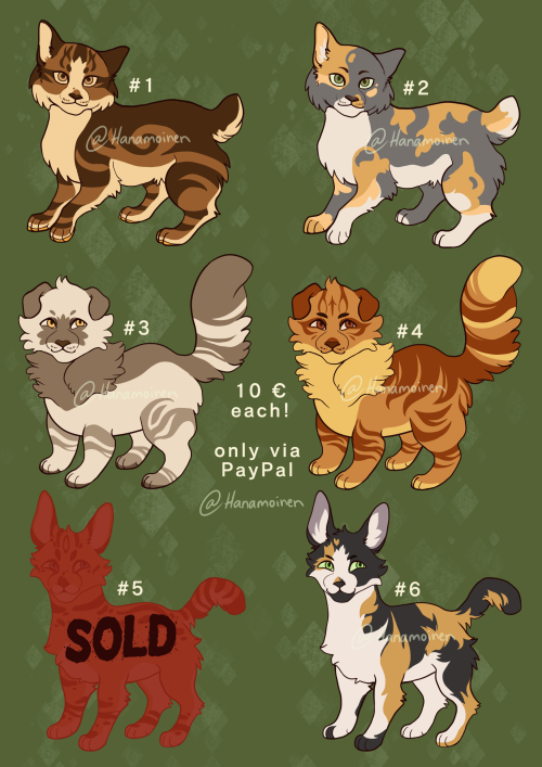 Cat adoptables for sale!10€ each! Payment upfront, via PayPal only. No refunds.Please don’t resell t