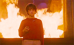  Harry Potter ~ Eight Films [1/8]  Harry Potter and the Philosopher’s Stone  