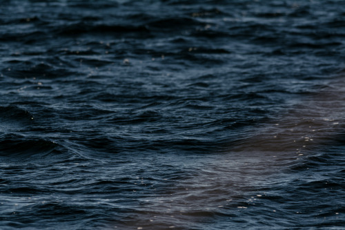 darkcoastphotography:  Wavelengths September 27, 2015 tumblr | flickr | facebook | society6 | instagram Do Not Remove My Credits 