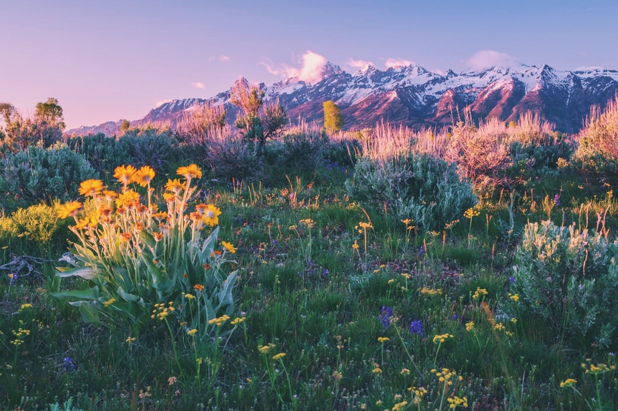 archae-heart:  Montana sunrise  