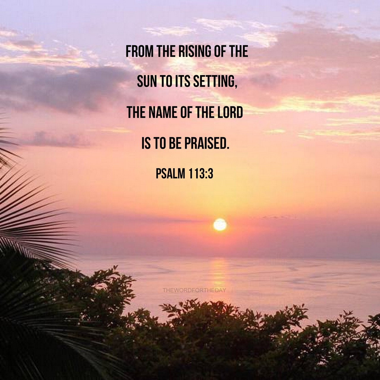 The Word For The Day • Psalm 1133 From the rising of the