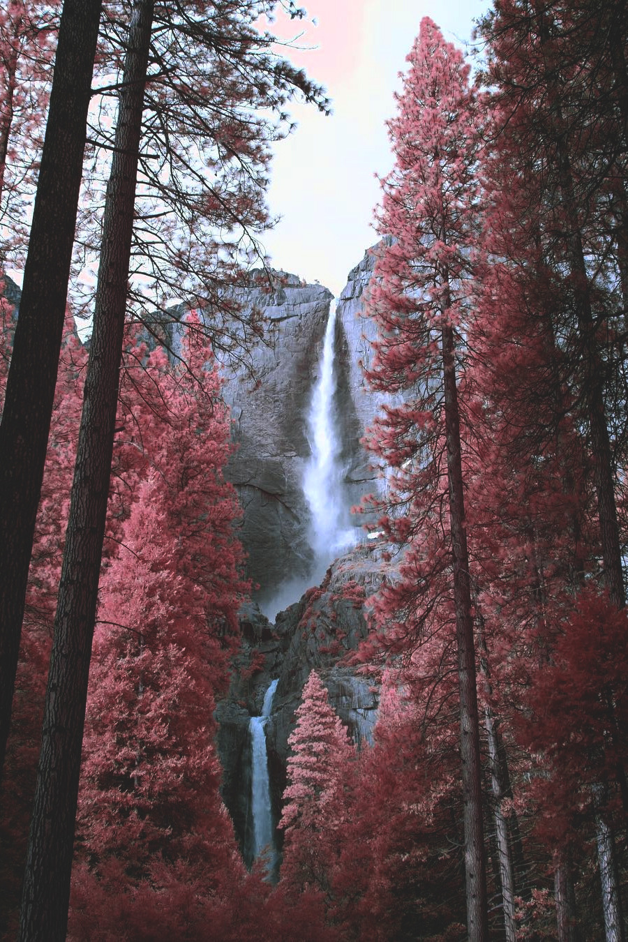 lsleofskye:  Yosemite National Park | brendan.bannister