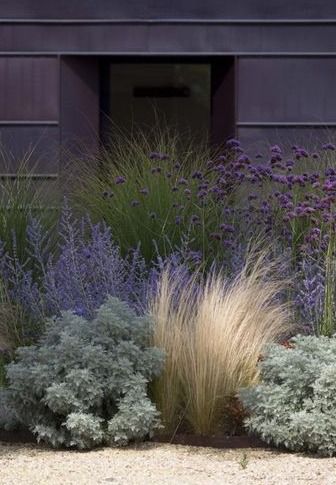 surroundedbybeauty-gardendesign:
“ Mexican Feather Grass + Artimesia + Russian Sage + Morning Light Grass + Ageratum // Could quite possibly be my most favorite grouping of plantings // This would make a beautiful naturalistic garden on the Outer...