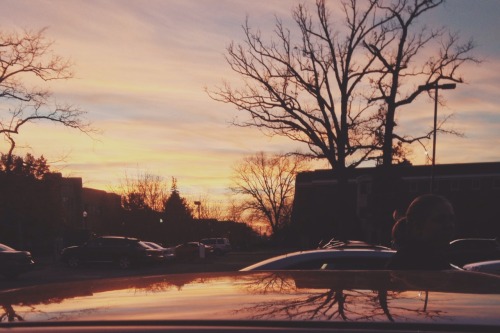 velveteennrabbit:  11.10.14