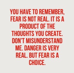 The only thing we have to fear is fear itself.