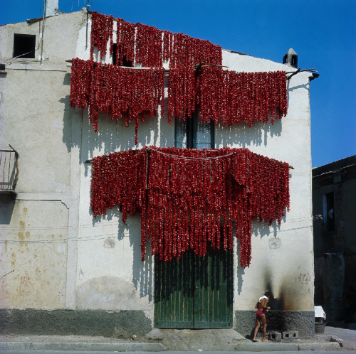 desimonewayland:Zannier, ItaloThe façade of a house in Puglia with drying tomatoes 1970Archivi Alina