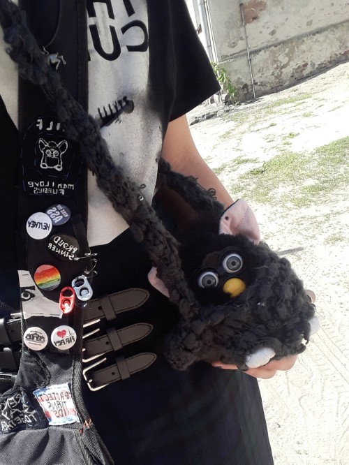 I Made A Furby Carrier !!