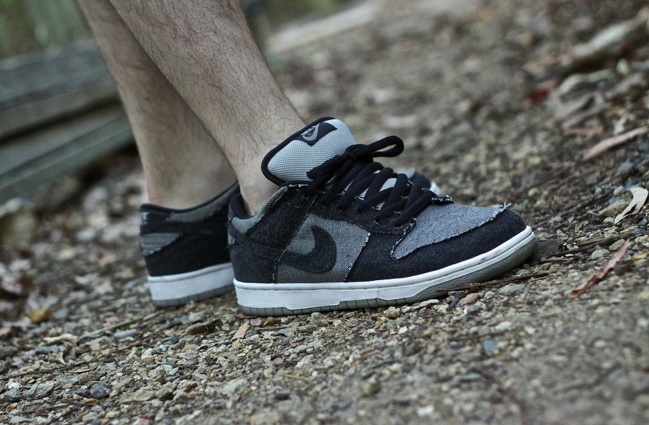 nike sb medicom 2