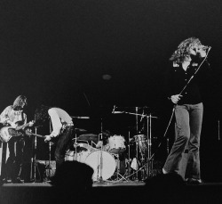 ledzeppelin-fan:  Click here to check out