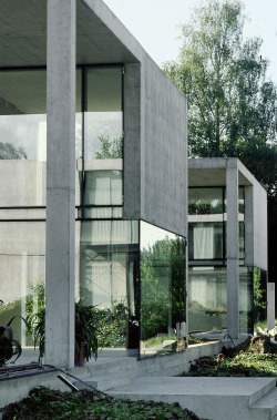 Subtilitas:  Livio Vacchini &Amp;Amp; Silvia Gmür - 3 Houses, Beinwil Am See 1998.