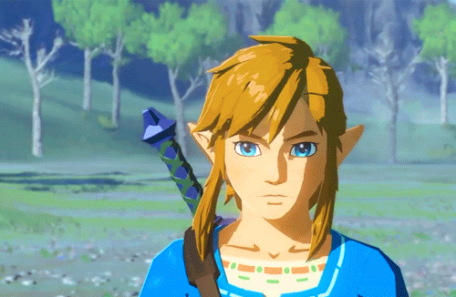 hyliansheik:  Link… you are the light – our light – that must shine upon Hyrule