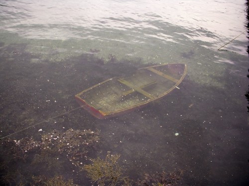 nevver:Abandon ship, Kathryn Ford