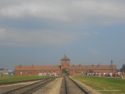 though-the-truth-may-vary:  karuna-tan:  though-the-truth-may-vary:  As far as possible I try to respect other people’s beliefs. One thing I cannot respect is other’s believing that the Holocaust (Shoah) didn’t happen and that it’s all make believe.