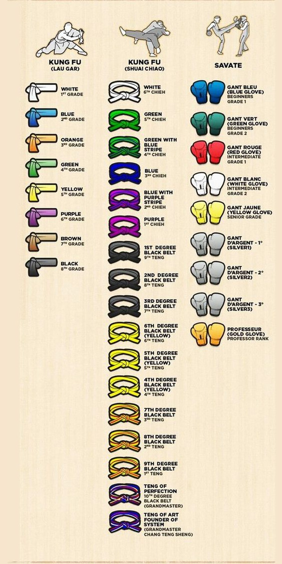 parkour-freerunning-feiyue: Martial Arts Belt Ranks~ follow back if you like it 