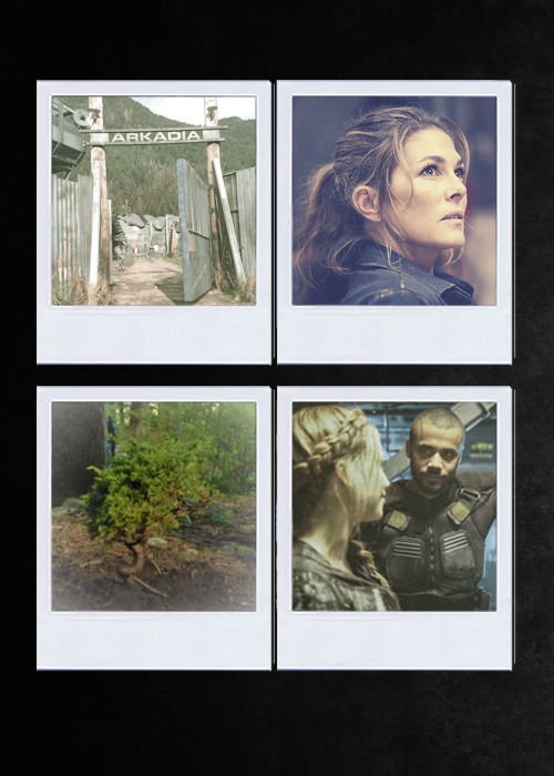 Marcus Kanes Polaroids