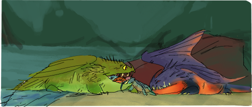 Toads 