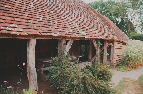 farmwitch:film from a visit home  