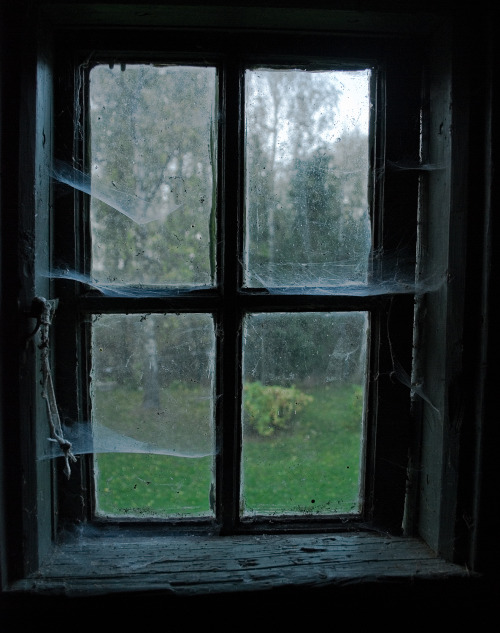 antlersinthefog:  windows in my house