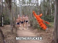 9gag:  Surprise! It’s tigger! 