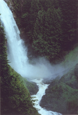 4nimalparty:  middle falls wallace falls