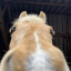 neighqueer