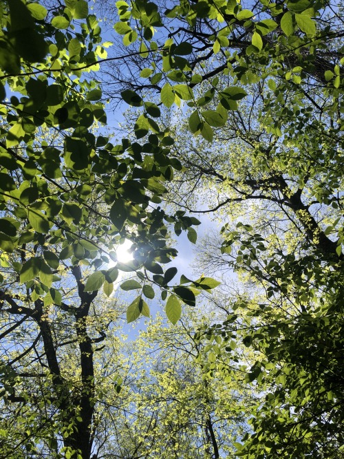 schuylkill river trail