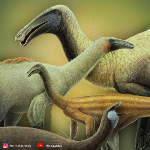 mariolanzas:ORNITHOMIMOSAURIASome of the Ornithomimosaurs featured on my Youtube video dedicated to 