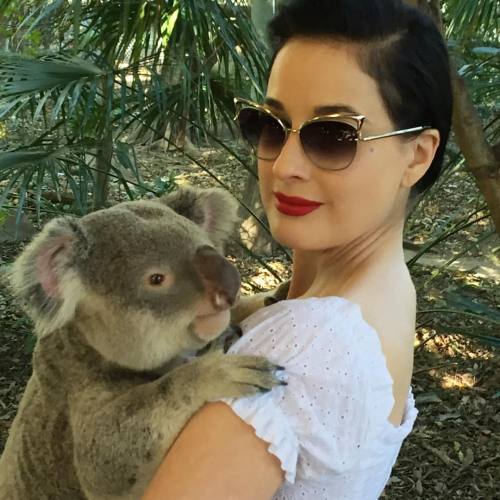 ditavonteese:  At #LonePineKoala Sanctuary this afternoon. Especially enjoyed feeding kangaroos…their fuzzy lips remind me of visiting the deer reserves in my home state of Michigan when I was a little girl. (at Lone Pine Koala Sanctuary)