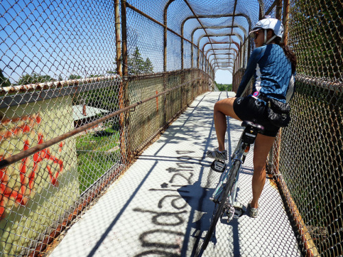 bikesandgirlsandmacsandstuff: (via Hydro Fields & Bungalows | Cupcake Ride)