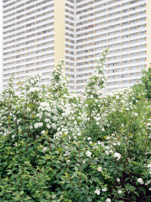 renest:Stadt und Stadtnatur. / 10.05.2019