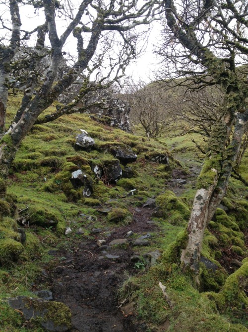 littleborgqueen:   If this isn’t an entrance to a fairy world then I don’t know what is… Fairy Glen, Isle of Skye, Scotland, April 2014 